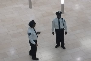 Officers Talking